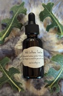 Image 1 of Wild Lettuce Tincture