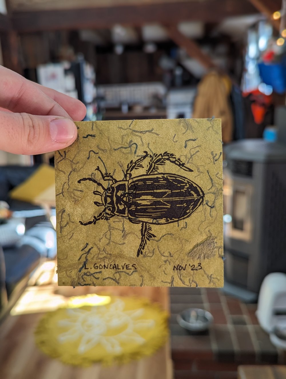 Image of Predaceous Diving Beetle print - 3.5"