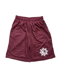 Image 4 of “Vision” P.E Mesh Shorts 