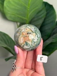 Image 5 of CHOOSE YOUR OWN MOSS AGATE SPHERE -INDIA- LOT 1