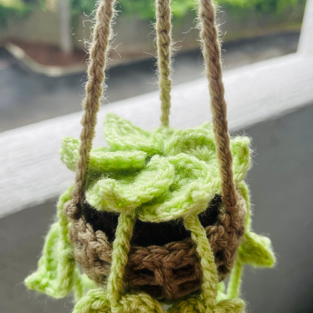 Image of Hanging Plant