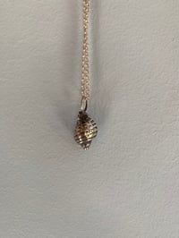 Image 4 of Cast stg sil shell pendant with sil belcher chain #3