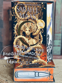 Image 5 of House of Flame and Shadow 