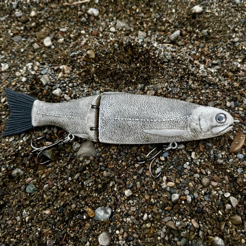 Image of 10 inch (slow sink) trout