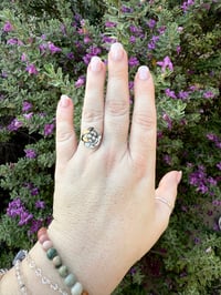 Image 1 of The Wild Rose Ring (8.5)