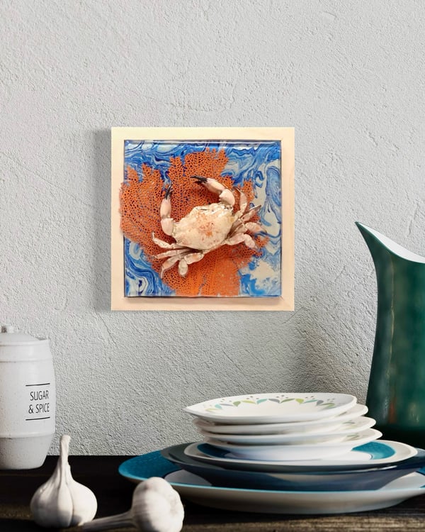 Image of Mosaic Reef Crab (Lophozozymous pictor).