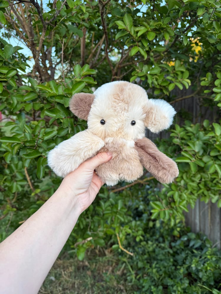 Image of nursery neutral dweller