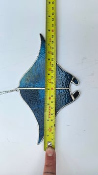 Image 4 of Sting ray 2