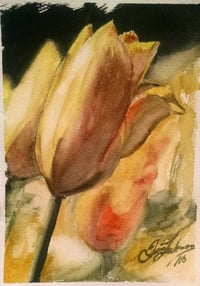Image 1 of Tulip