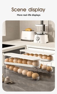 Image 9 of Egg Roller - Gravity Fed Organizer