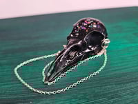 Image 1 of Raven Skull