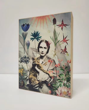 Image of Primavera en el jardín.