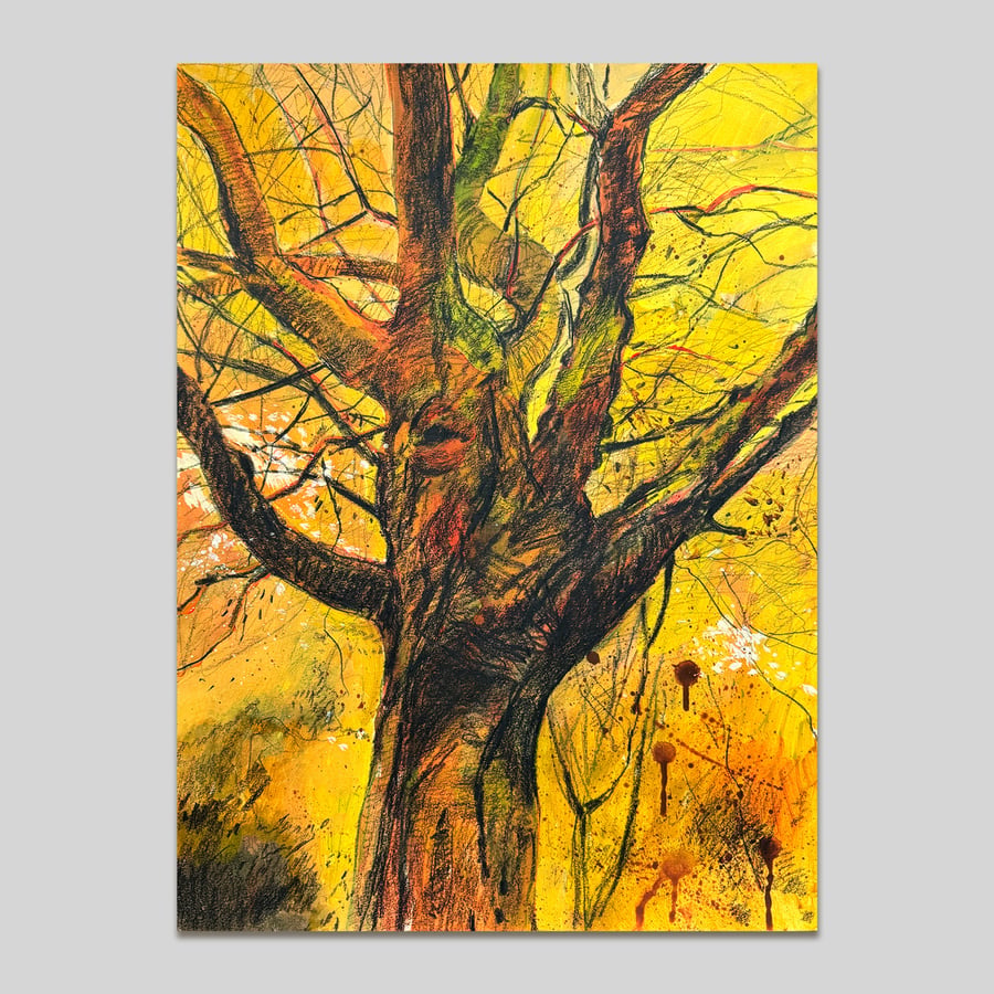 Alexandra Park Tree