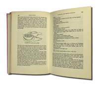 Image 2 of Charcuterie & French Pork Cookery by Jane Grigson