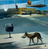 Image 1 of A Coyote in Hollywood