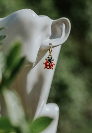 Image of Ladybird Huggies
