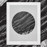 Image 1 of Black Locust 16" x 20" print 
