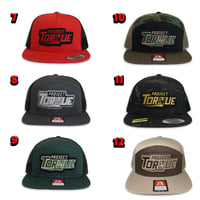 Image 2 of PROJECT TORQUE HATS