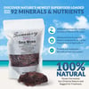 Sea Moss Starter Pack: Purple Sea Moss + Sea Moss Capsules