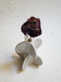 Image 1 of Volatil