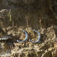Image 4 of Molten half hoop earrings
