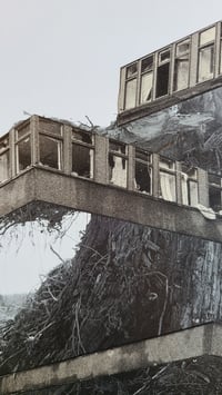 Image 3 of 'Treehouse'