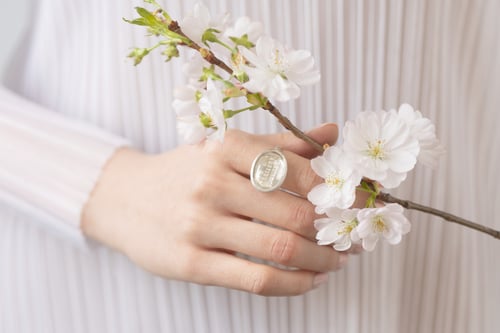 Image of "Wind from distant mountains" silver ring with rock crystal · AB EXTREMIS MONTIBUS AURA ·
