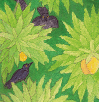 Image 5 of Mango Season