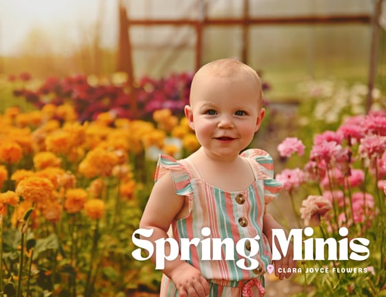 Image of Spring Mini