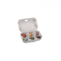 Image 3 of Set of 6 seed bombs in mini egg box