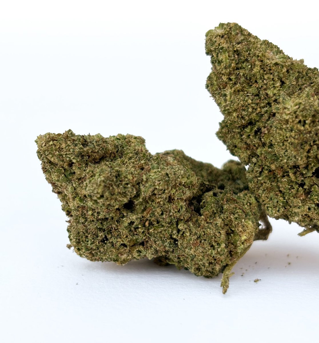 Melon Gum 🍉 Amoureux de Cannabis