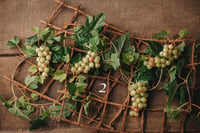 Image 2 of Grape garland