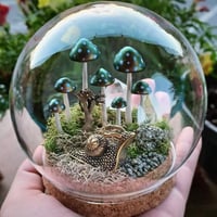 Mushroom and Snail Terrarium 