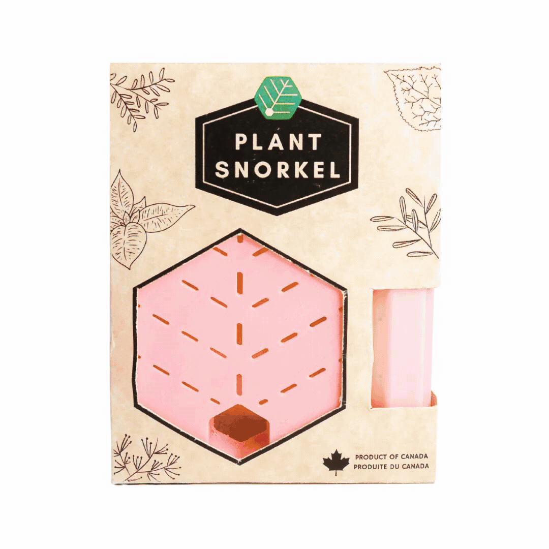 Image of Plant Snorkel - Rose
