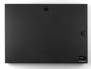 Image of Oak Tree in Winter Canvas Print