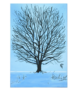 Image of Oak Tree in Winter Canvas Print