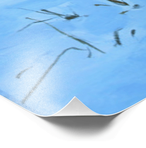 Image of Oak Tree in Winter Canvas Print