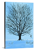 Oak Tree in Winter Canvas Print