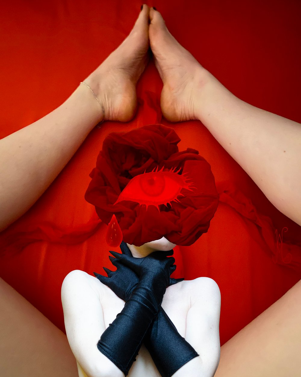 Image of BORN TO STRANGLE. 