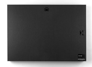 Image of Oak In Spring Print 