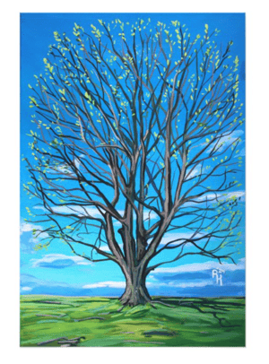 Image of Oak In Spring Print 