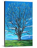 Oak In Spring Print 