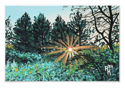 Sun Blossom Print