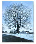 Our Tree In The Wintertime Canvas Print