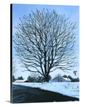 Our Tree In The Wintertime Canvas Print