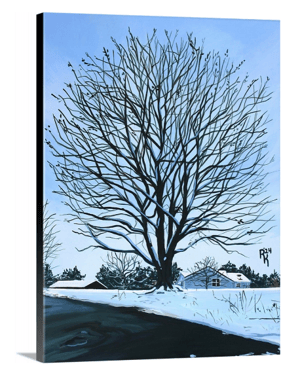 Image of Our Tree In The Wintertime Canvas Print