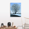 Our Tree In The Wintertime Canvas Print