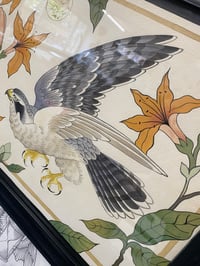 Image 4 of Falcon Painting (Original)