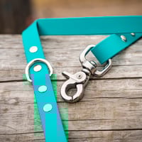 Image 1 of Classic Leash - Stainless Steel Hardware