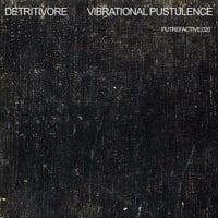 Image 1 of DETRITIVORE "VIBRATIONAL PUSTULENCE" CD